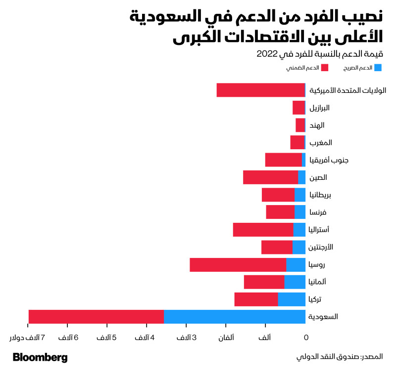 نصيب الفرد من الدعم في السعودية الأعلى بين الاقتصادات الكبرى