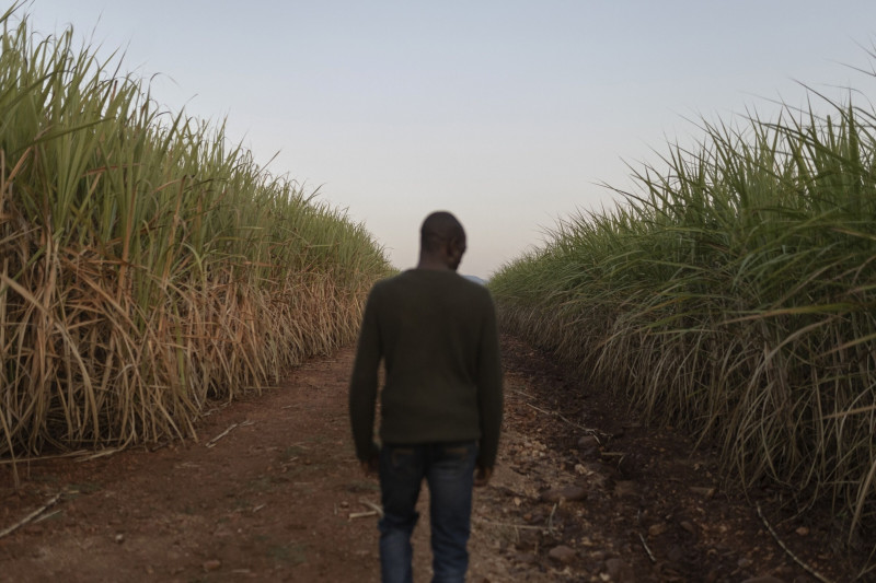 سابيلو شابانغو، أحد مزارعي قصب السكر، يسير على طريق ترابي دمرته الأمطار الغزيرة