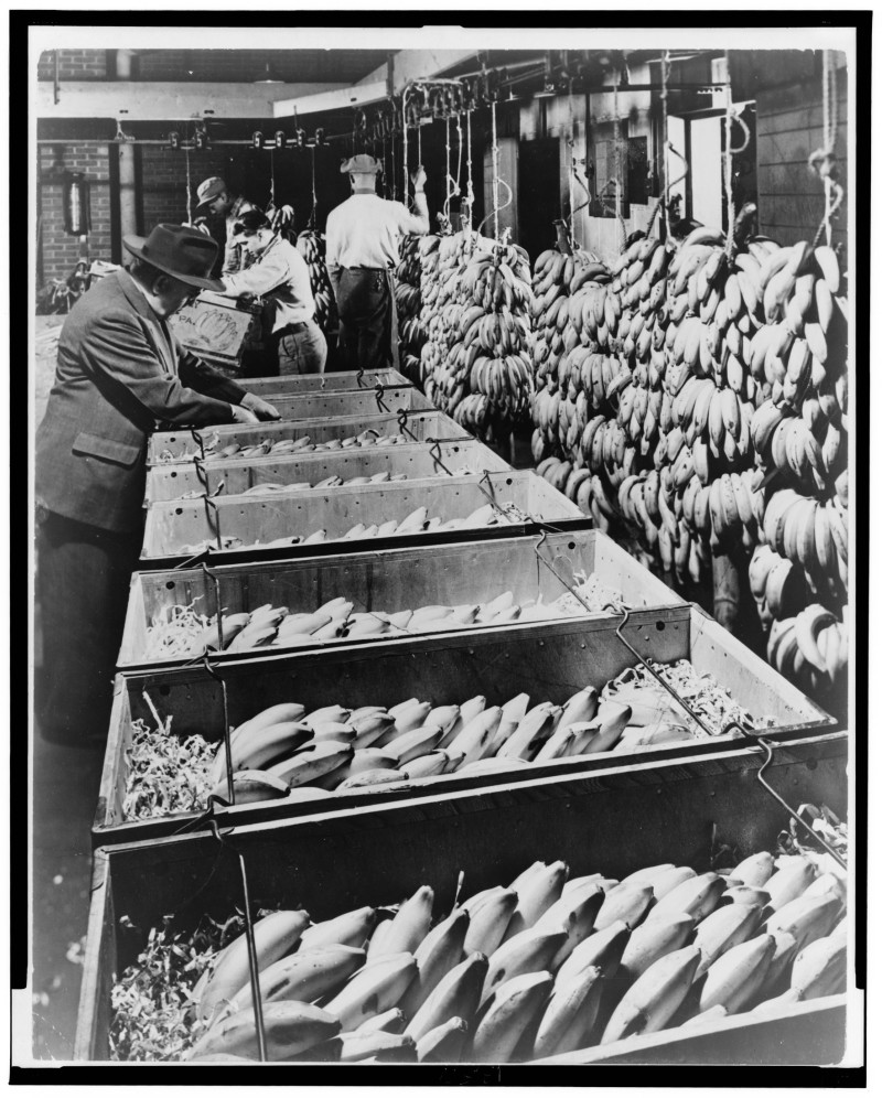 أحد مستودعات تعبئة الموز في بنما في 1948