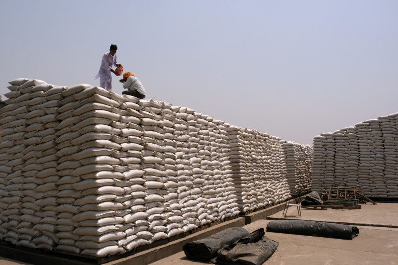 أكياس من القمح في منشأة تابعة لـ"بنجاب غراينز بروكيورمنت كورب" (Punjab Grains Procurement Corp) في منطقة لوديانا في البنجاب، الهند، يوم الأول من مايو 2022. مناطق عديدة في الهند قد تشهد انخفاضاً في إنتاج القمح خلال موسم العام الجاري بنسبة 50%، وفقاً لمسح أجرته "بلومبرغ"
