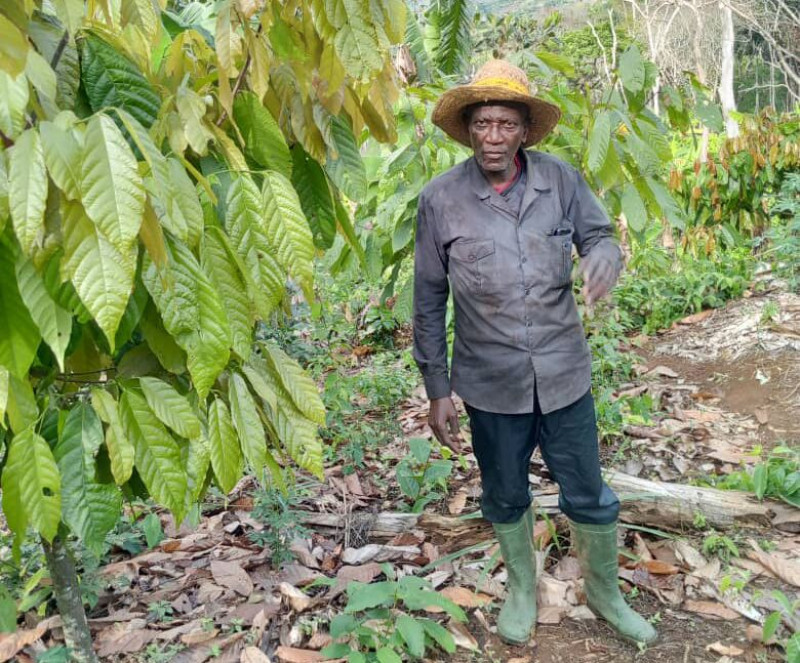 جين-ماري إمبيدا أوبام في مزرعته للكاكاو في قرية إنغومِدزاب، الكاميرون