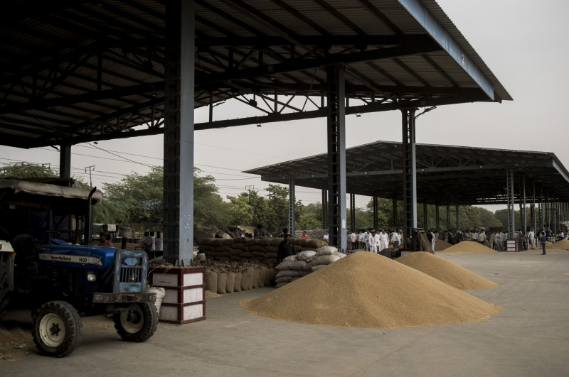 أكوام من القمح في أحد أسواق البيع بالجملة بمنطقة ناريلا في نيودلهي، الهند