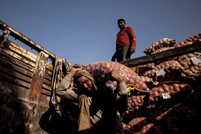عاملان يفرغان أكياس البصل في سوق الجملة بولاية أوتار براديش، الهند