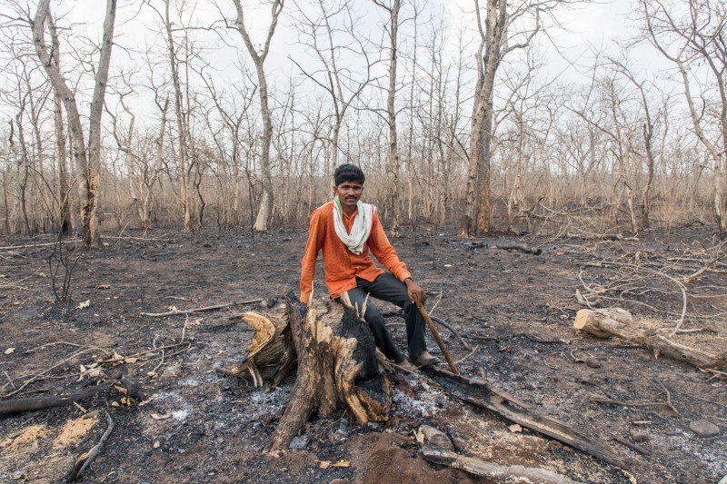 سايا رام في موقع أحد حرائق الغابات في قرية قرب ماديا براديش في الهند.