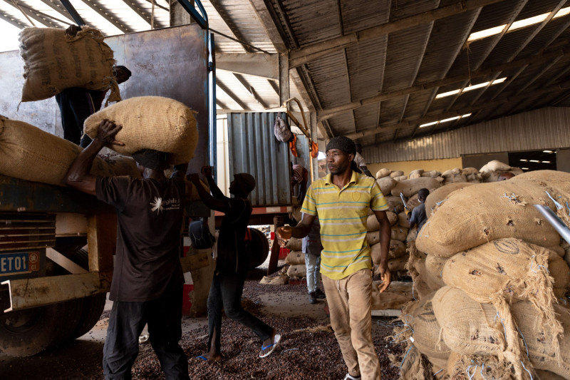 عمال يفرغون حبوب الكاكاو في مصنع لإعادة التعبئة في سان بيدرو، ساحل العاج
