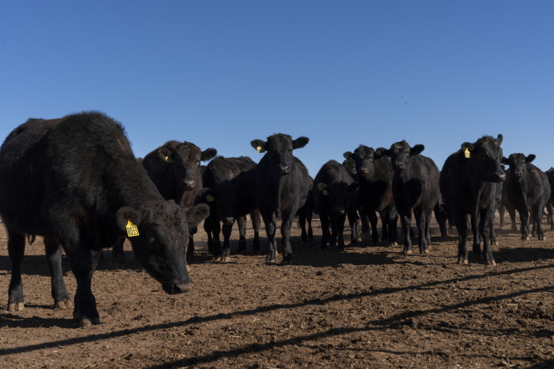 أنفق مجلس لحوم الأبقار في 2022 حوالي 20 مليون دولار على الترويج لمنتجاته للمستهلكين الأميركيين، فيما خصصت مزارع "بيردو" المنتجة للدجاج مبلغاً مماثلاً للإعلانات عبر التلفزيون الوطني وحده.