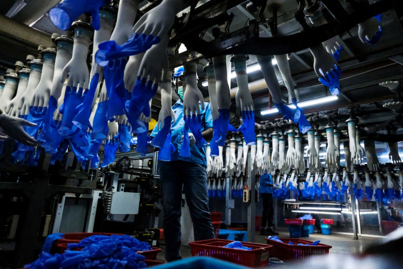  قفازات اللاتكس تتحرك على طول خط إنتاج آلي في مصنع "توب غلوف" 