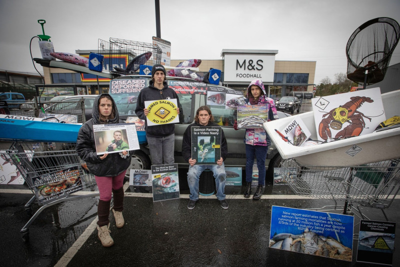 متظاهرون مشاركون ضمن جولة مطالبة بإنهاء تربية السلمون متجمعون قرب متاجر "إم آند إس" و"ألدي" في بيدستون في المملكة المتحدة في 2 نوفمبر 2023